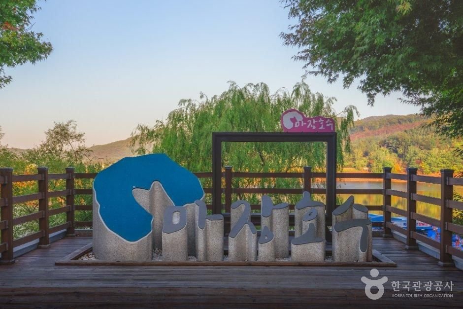 파주 마장호수 출렁다리