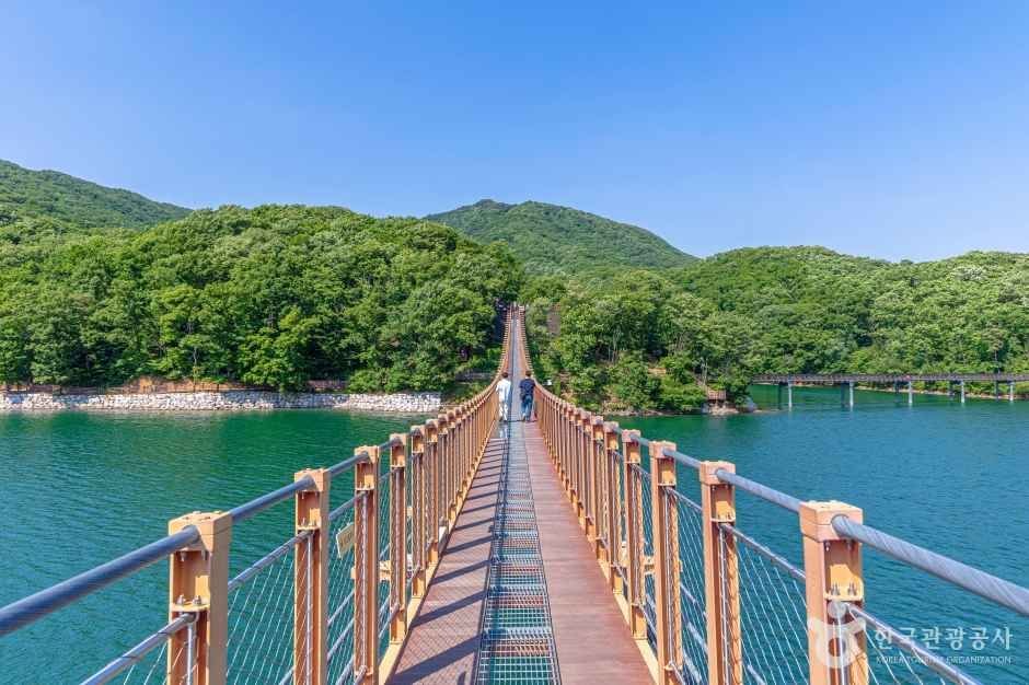 파주 마장호수 출렁다리 사진 2