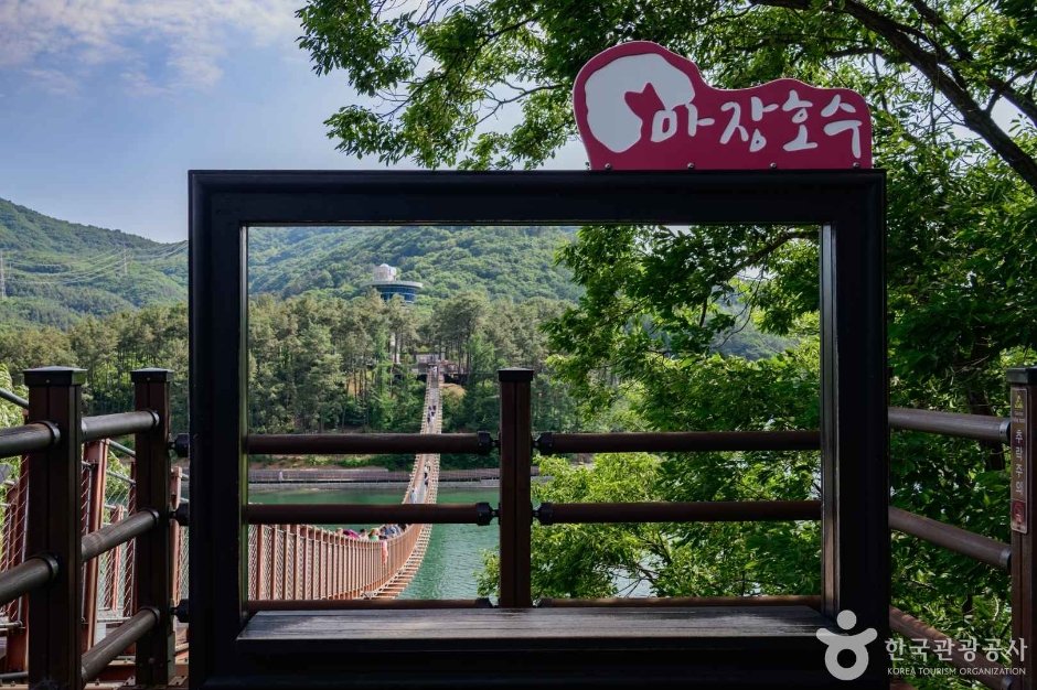파주 마장호수 출렁다리 사진 3