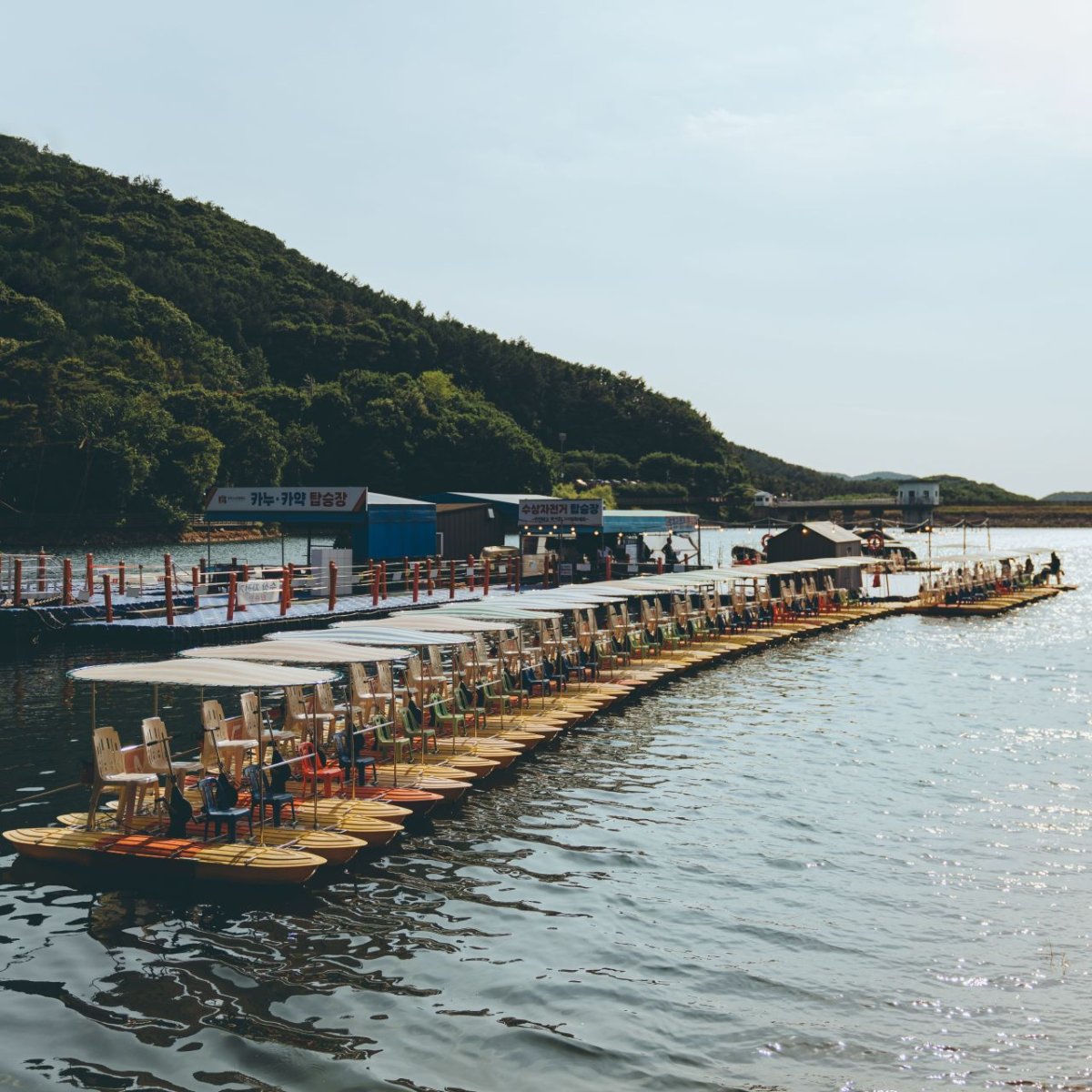 파주 마장호수 출렁다리 사진 4