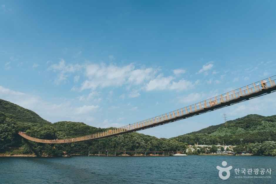파주 마장호수 출렁다리 사진 5