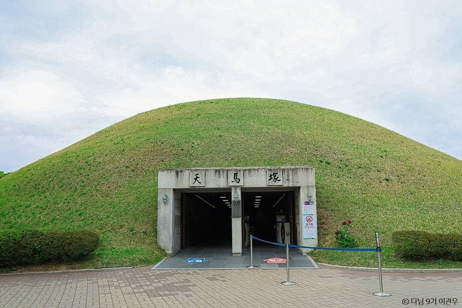 가을빛으로 물든 천년 고도 경주 대릉원, 왕릉 사이 거니는 단풍 산책