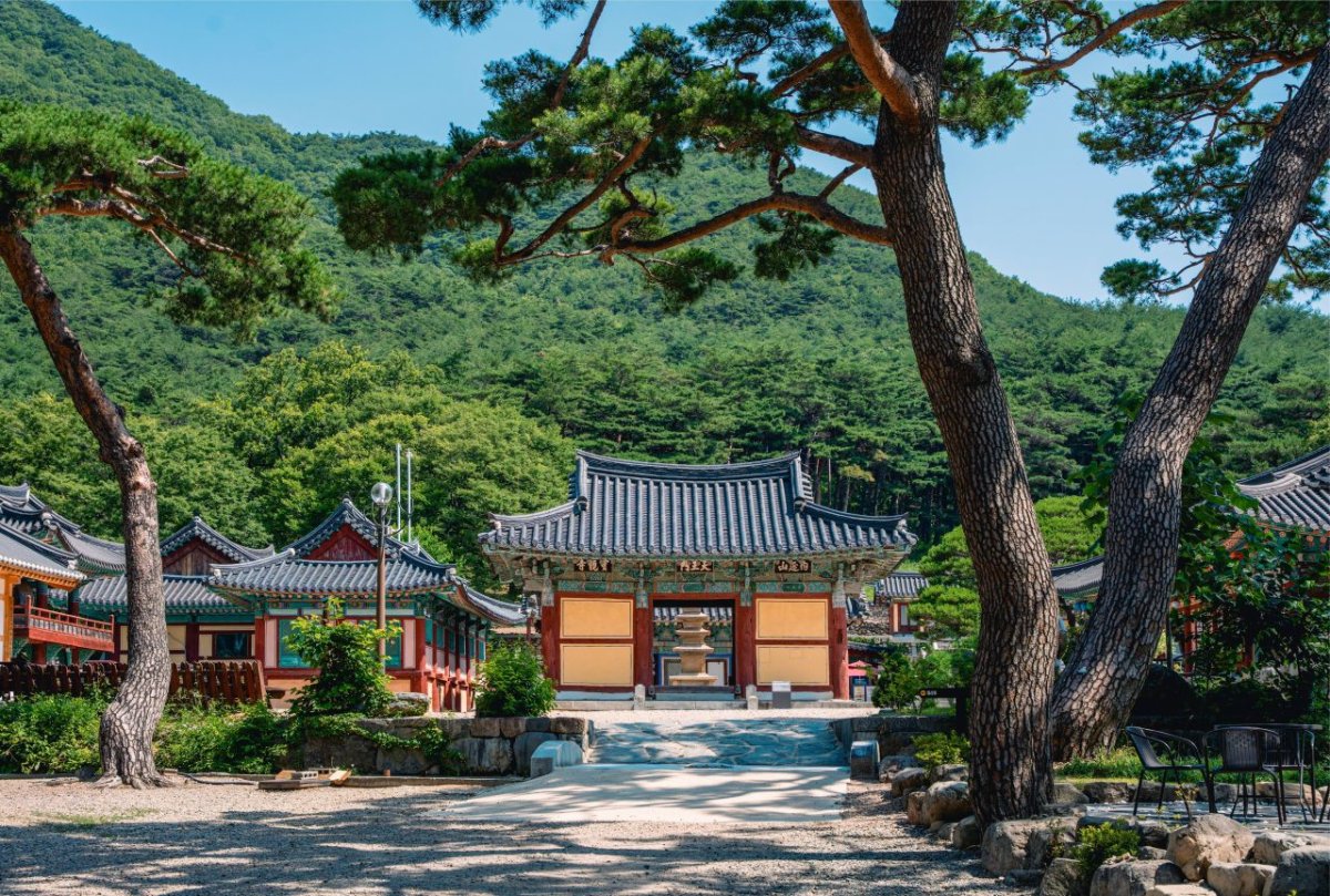포항 내연산 보경사 시립공원 사진 5