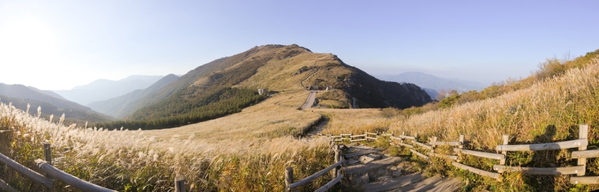 울산 간월재 억새