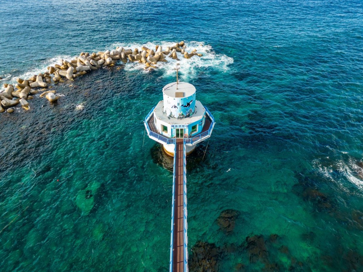 울릉도 여행 사진 2