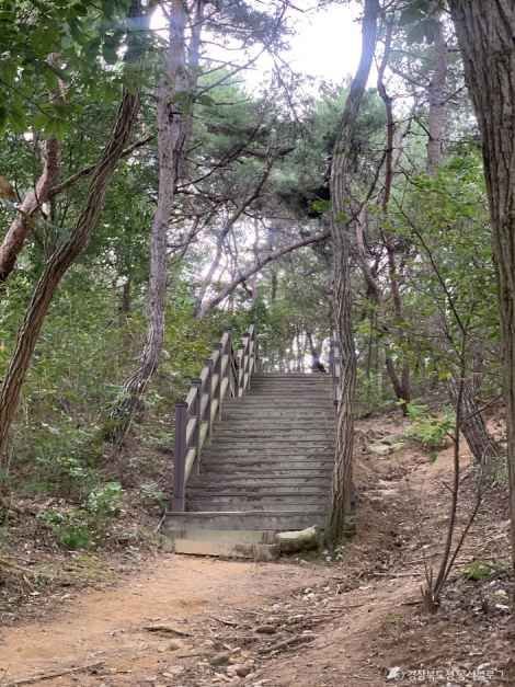 가을에 떠나는 해발 240m 상주 나각산 가을 트레킹 코스 안내