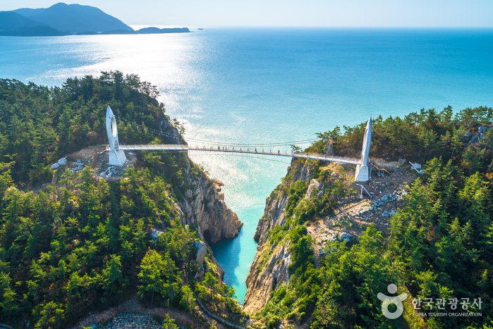 5.7km 평탄한 꽃섬길과 65m 출렁다리로 떠나는 여수 하화도 가을 여행
