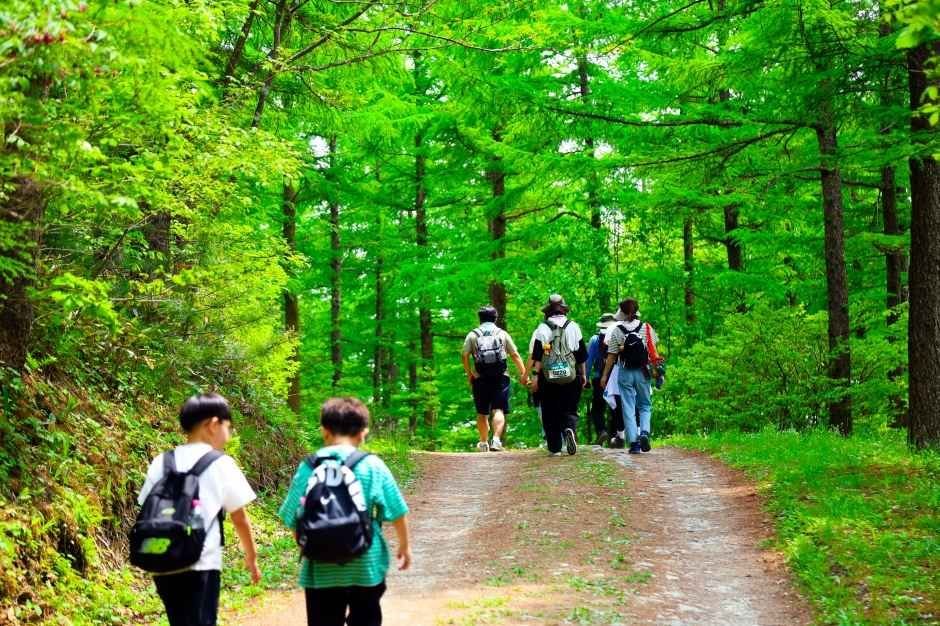 남산 하늘숲길 사진 3