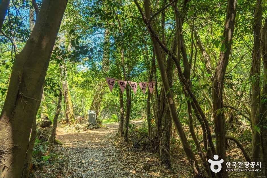 제주 환상숲곶자왈공원