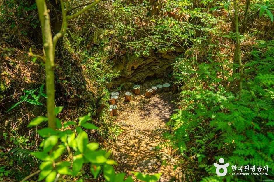 제주 환상숲곶자왈공원 사진 5