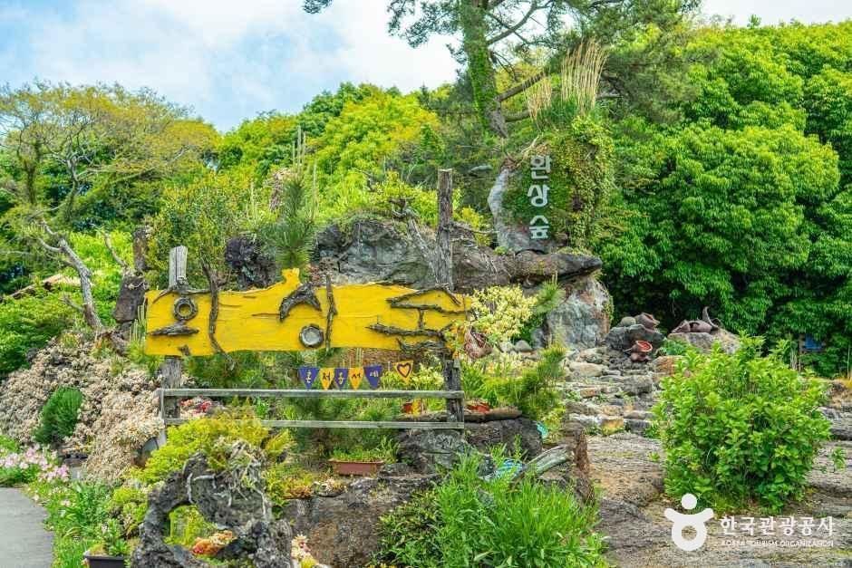 제주 환상숲곶자왈공원