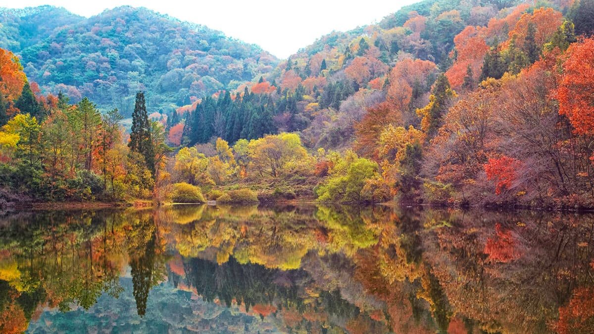 화순 세량지