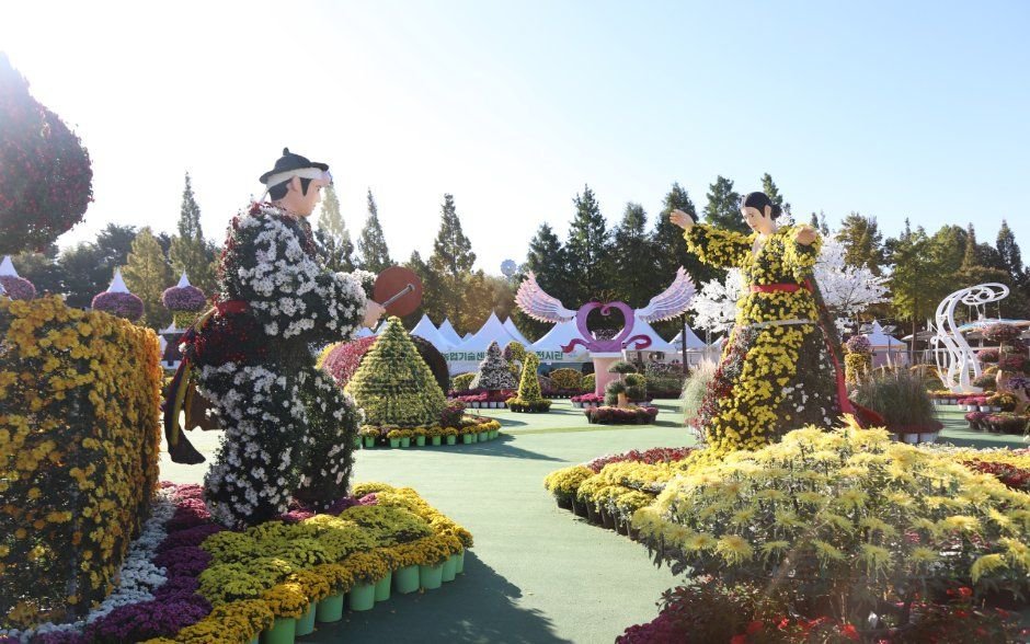 익산 천만송이 국화축제