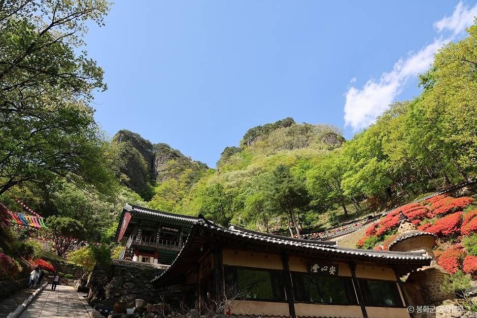 단풍 물든 천년 산사의 고요, 경북 봉화 청량산 청량사로 떠나는 가을 트레킹