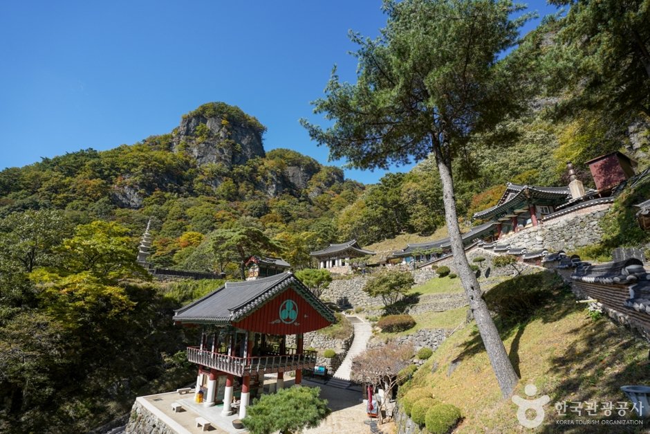 단풍 물든 천년 산사의 고요, 경북 봉화 청량산 청량사로 떠나는 가을 트레킹