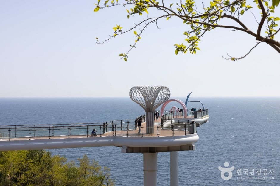 동해 묵호 여행 사진 5