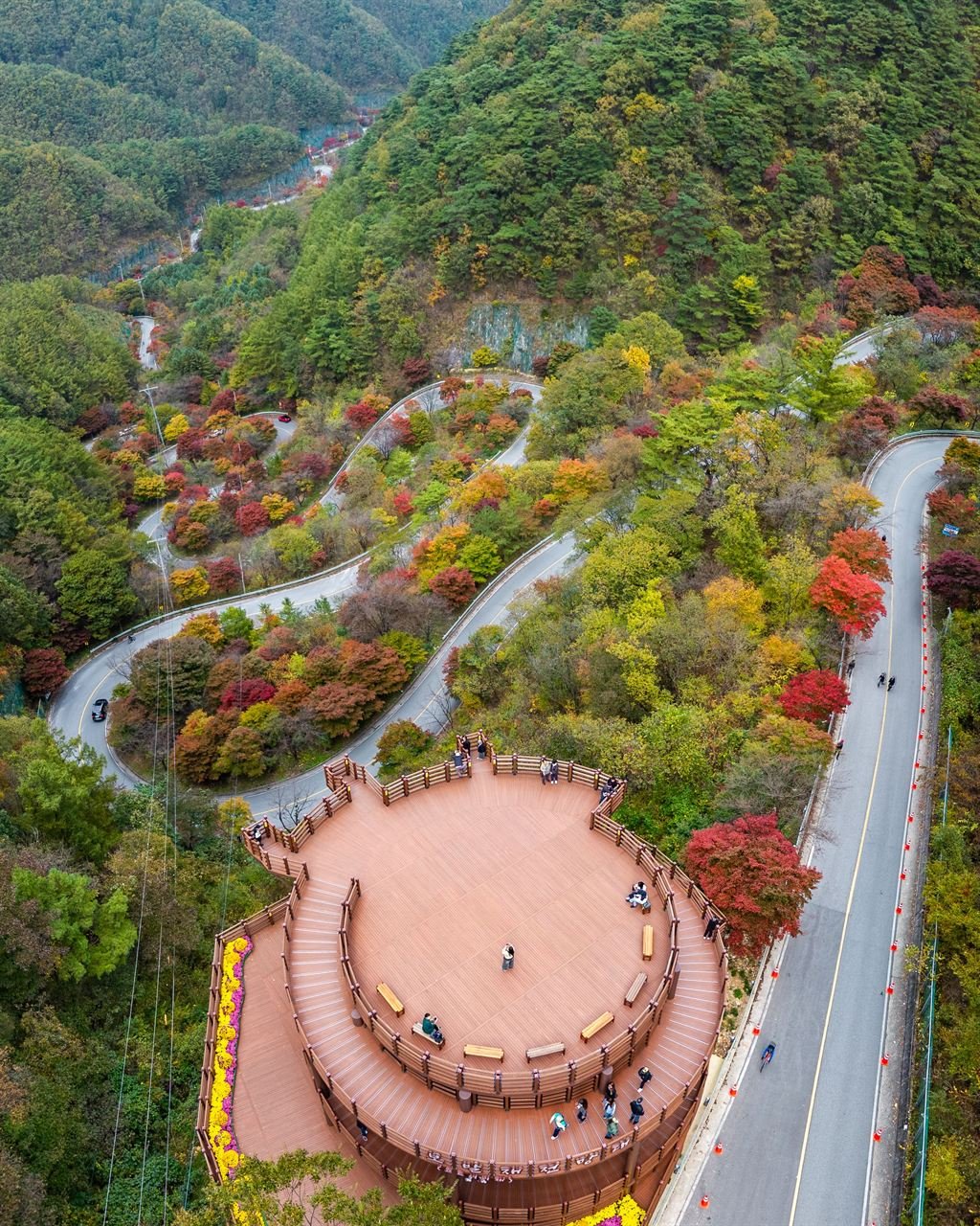 단양 보발재 단풍 사진 5