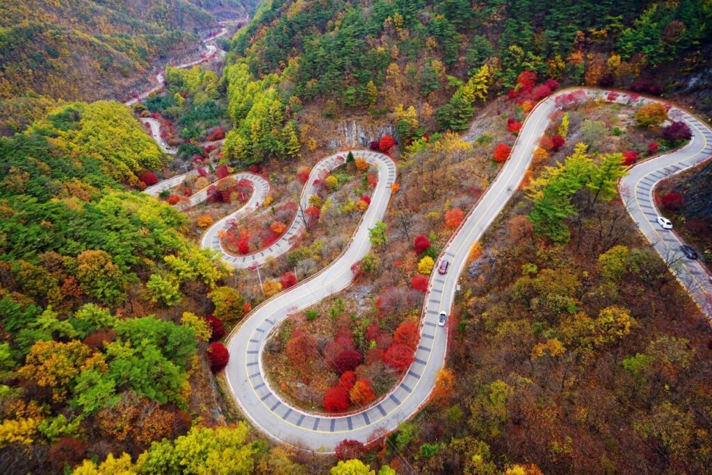 단양 보발재 단풍