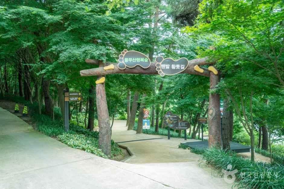 영광 물무산 행복숲
