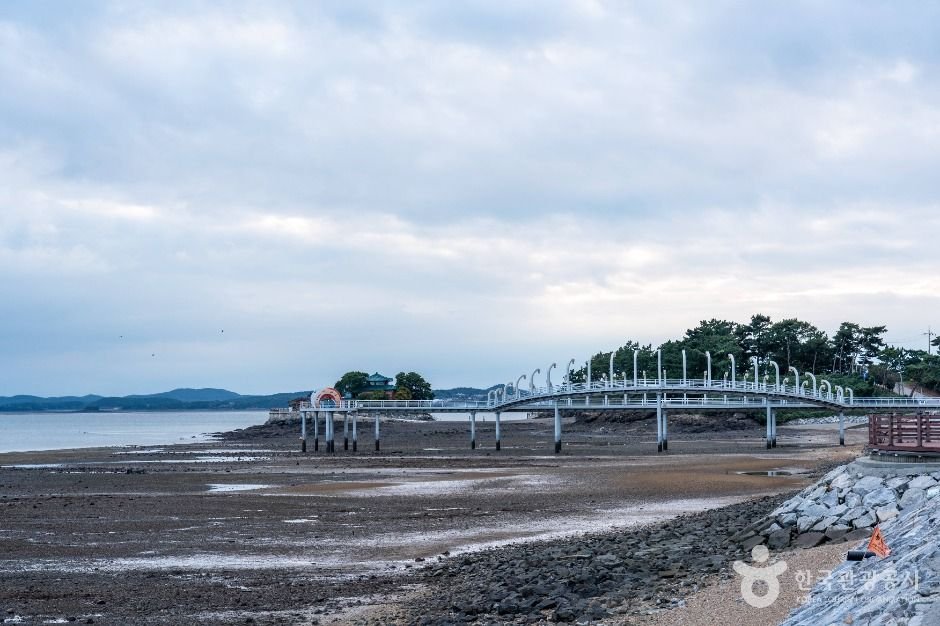 서산버드랜드 철새기행전 사진 4