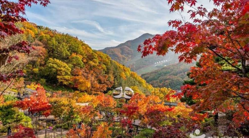 화담숲 가을 단풍축제