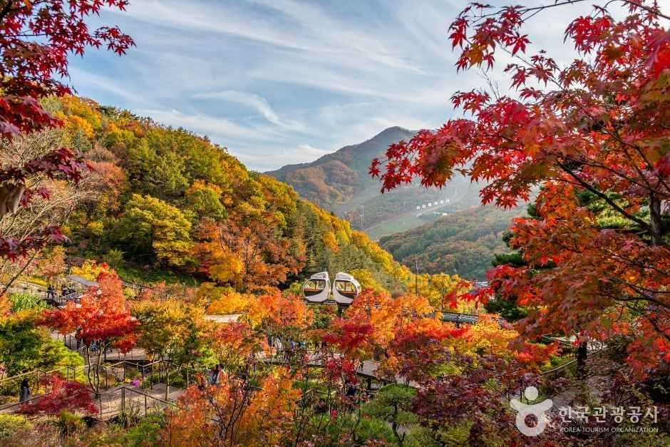 화담숲 가을 단풍축제