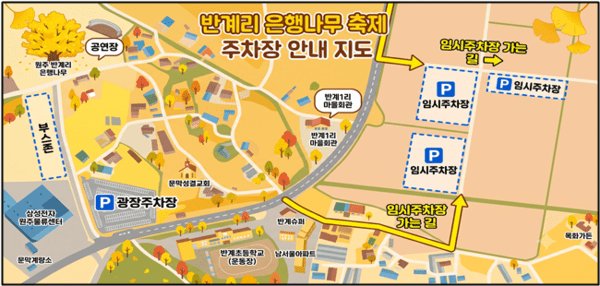 원주 반계리 은행나무 사진 2