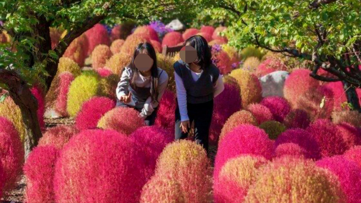 용인 에버랜드 단풍 사진 2