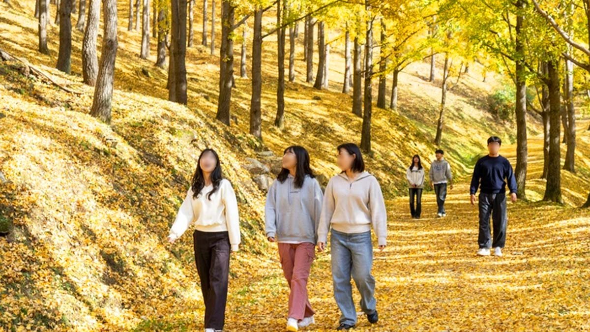 용인 에버랜드 단풍 사진 3