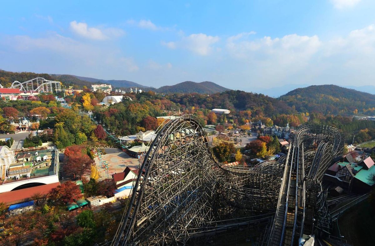 용인 에버랜드 단풍 사진 5