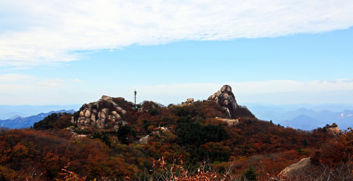 충북 가을 단풍 여행 사진 4