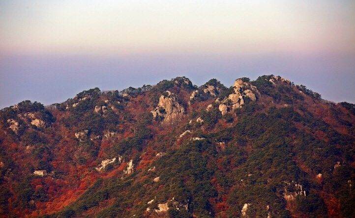충북 가을 단풍 여행