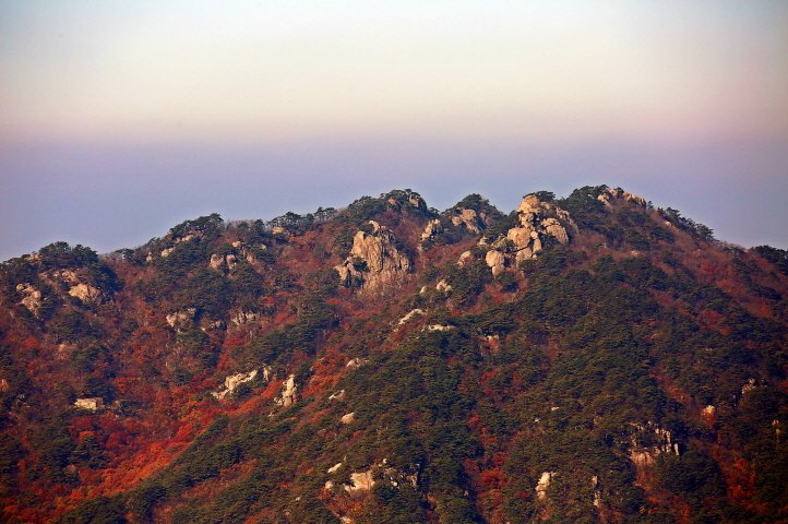 충북 가을 단풍 여행