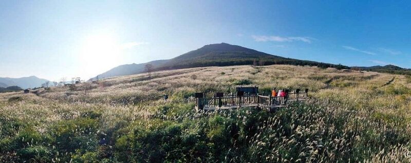 10월에 만나는 은빛 물결, 해발 1,189m 사자평 억새 트레킹 여행 가이드