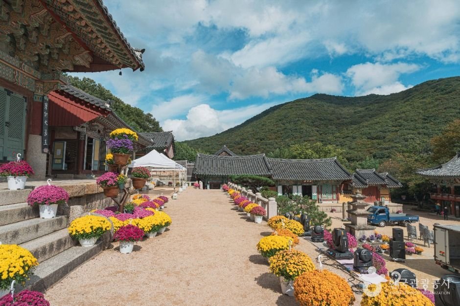 부산 범어사 단풍
