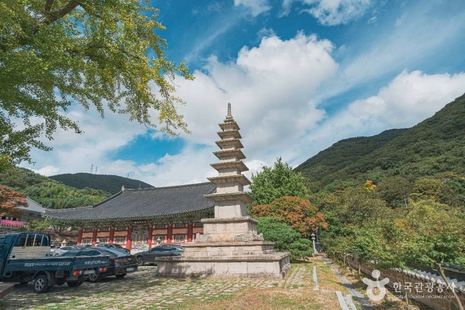 부산 범어사 단풍 사진 2
