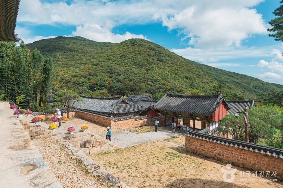 부산 범어사 단풍 사진 3