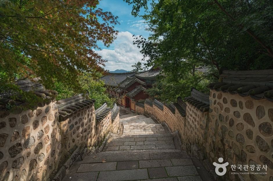 부산 범어사 단풍 사진 4