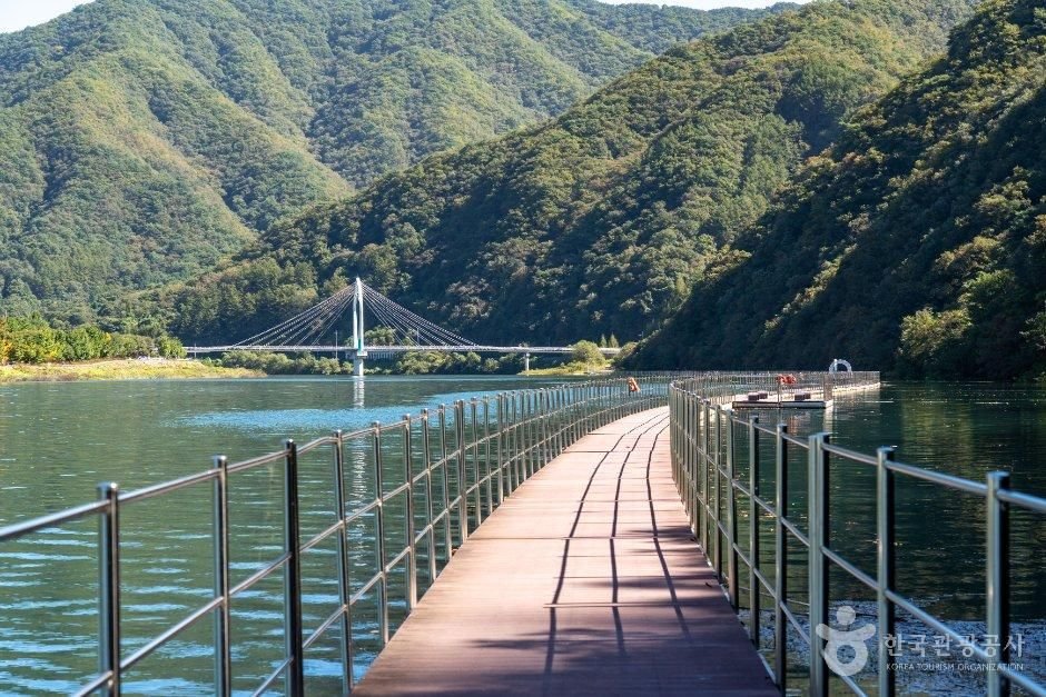 화천 숲으로다리 사진 4