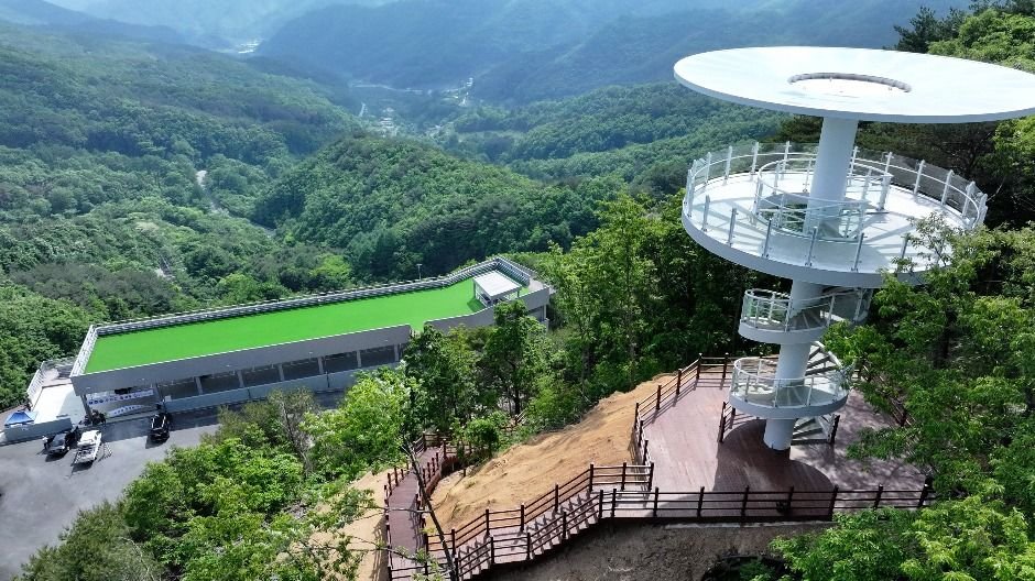 해발 840m 영동 도마령, 단풍 속을 달리는 가을 드라이브
