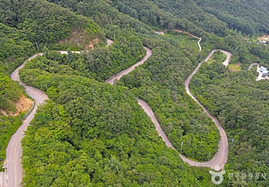 해발 840m 영동 도마령, 단풍 속을 달리는 가을 드라이브