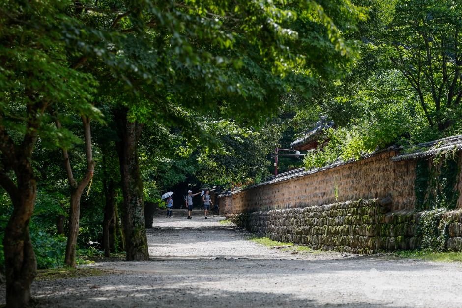 도솔산이 품은 고창 선운사, 붉게 물드는 가을 산사 여행
