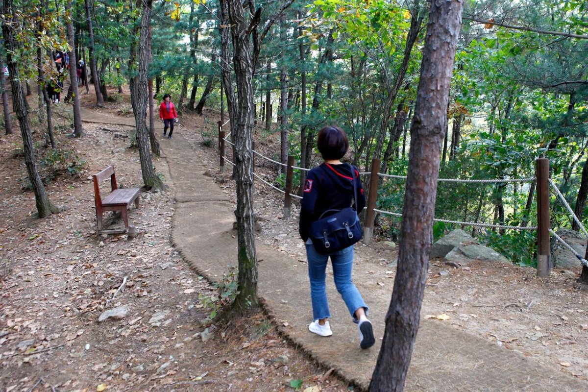 파주 감악산 출렁다리 사진 3