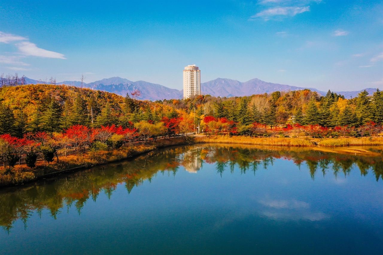 바다 대신 호수로 떠나는 속초 감성 여행, 7.8km 영랑호 둘레길 따라 걷기