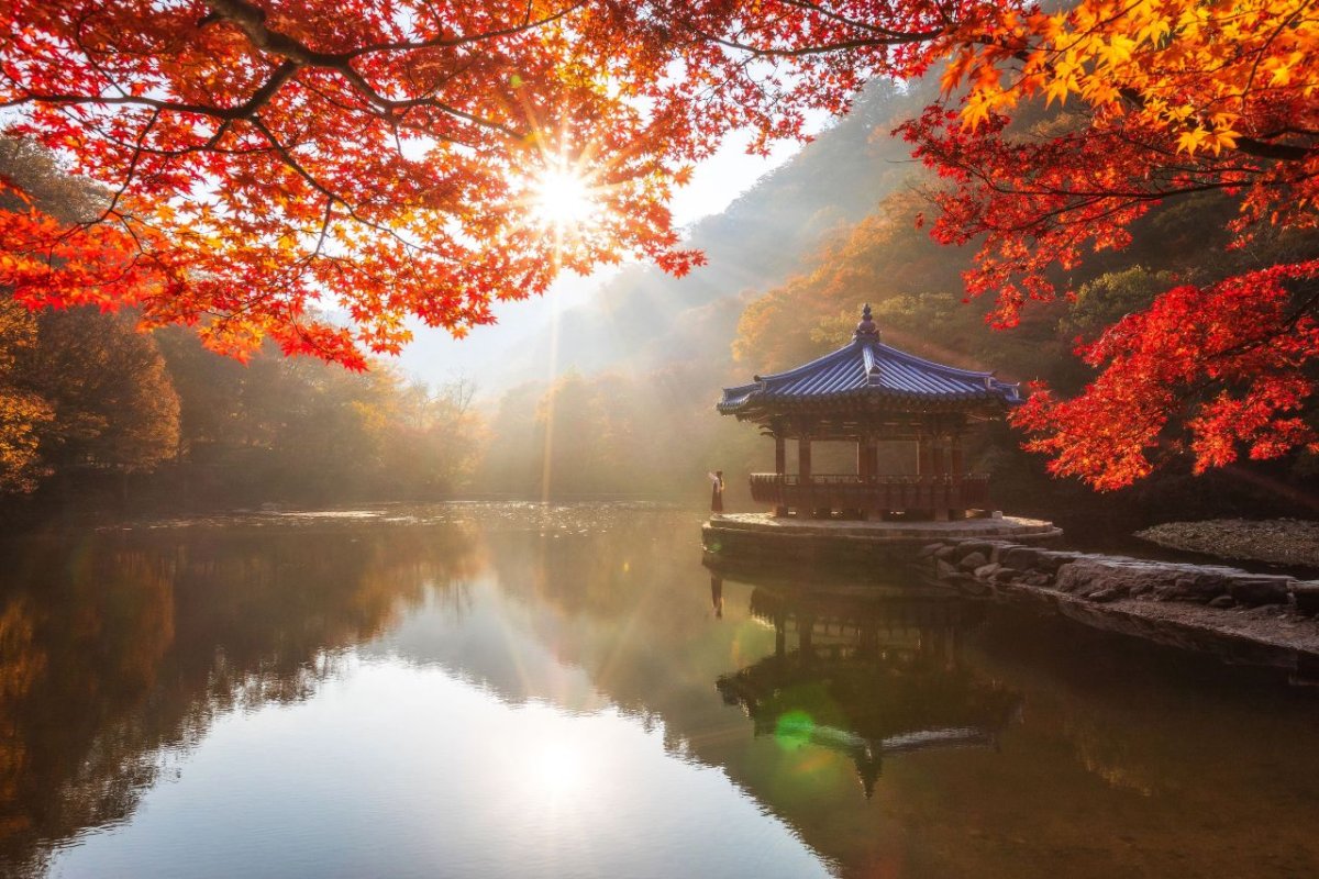 내장산 단풍 코스 사진 4