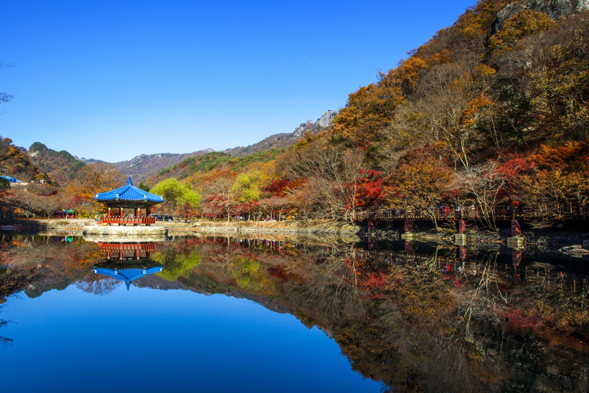 내장산 단풍 코스 사진 5