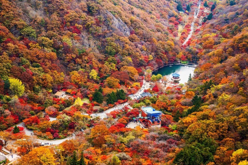 내장산 단풍 코스