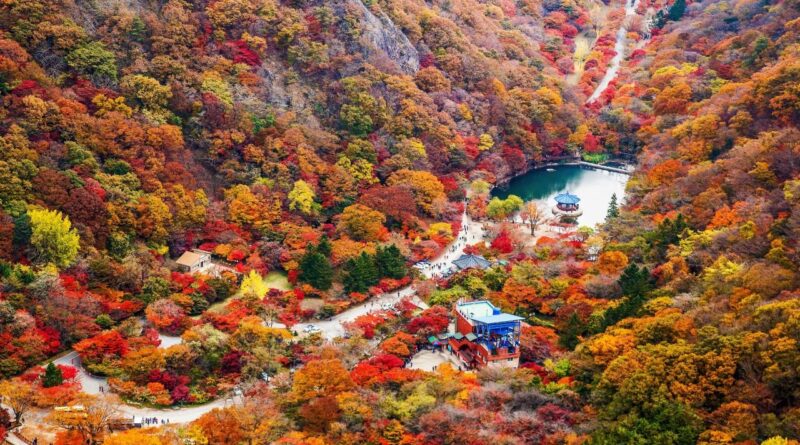 내장산 단풍 코스