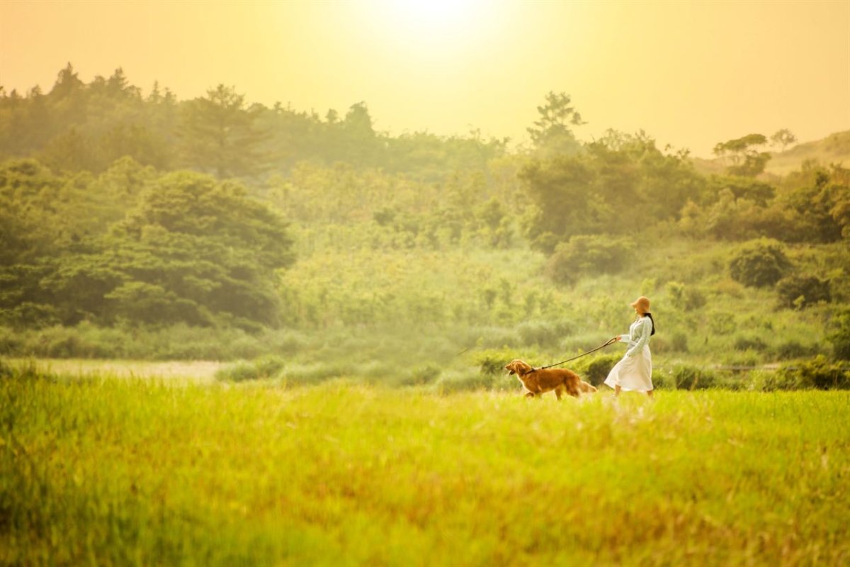 제주 안돌오름