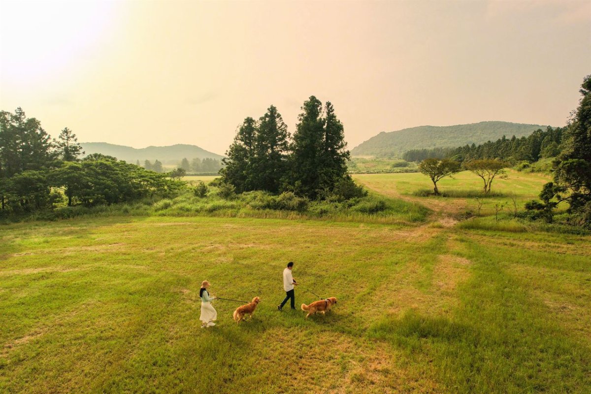제주 안돌오름 사진 2